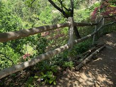 -木兰云雾山