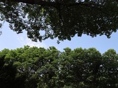 -北坞公园