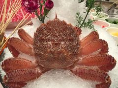 -翡翠小城·海鲜豆捞·广式点心(老佛爷店)