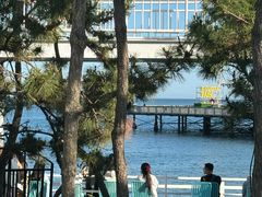 -北戴河碧螺塔海上酒吧公园