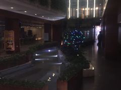 -护国新天地
