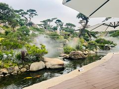 -罗红摄影艺术馆