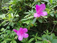 -经纬·泓汇地标家园