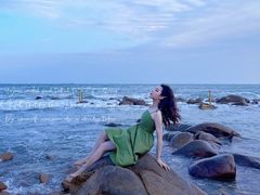 -广东惠东海龟国家级自然保护区