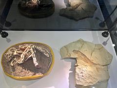 -房山世界地质公园博物馆