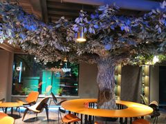 -迪欧咖啡·中西餐融合菜(平江万达旗舰店)