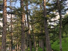 -长春市南湖公园