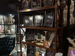 -雪灵魔法世界SHELLY’S TAROT(大良桂畔里店)