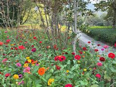 -狼山风景名胜区
