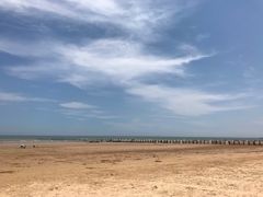 -日照海滨国家森林公园