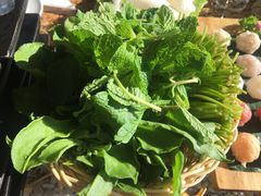 -慢丽江·云南野生菌土鸡锅(付家庄店)