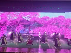 -南风大剧院莎梦二人转剧场