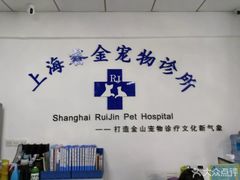 -睿金宠物医院·CT·肿瘤·骨外科