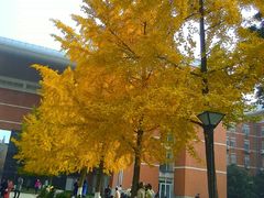 -四川大学(望江校区)