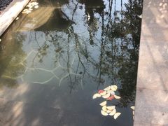 -郑州银基黄帝宫御温泉