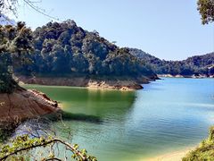 -广州市流溪河国家森林公园