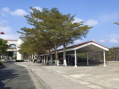 -横琴客运码头