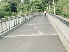 -金鸡山公园
