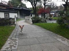 -杭州西湖柳莺里酒店·闻莺厅