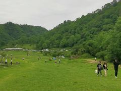 -狮子沟牧场