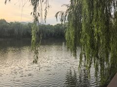 -世外桃源农庄·德清土菜(兴康南路店)