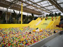 -南宫五洲植物乐园