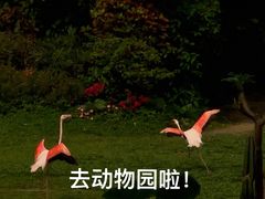 -广州长隆野生动物世界