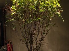 -森SPA·泰式按摩·精油Massage(宝安中心店)
