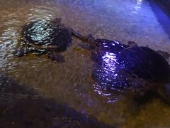 -威海华夏城景区