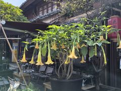 -巍山古城