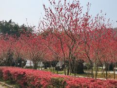 -宝晶宫旅游景区