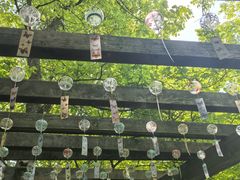 -天目湖山水园