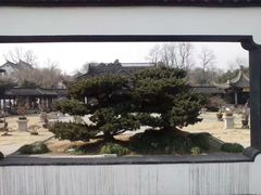 -盆景园(扬州大运河文化旅游度假区)