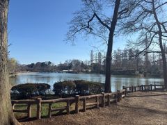 -井之头恩赐公园