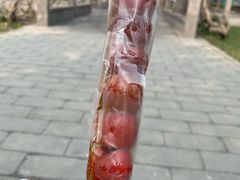 -和禄德冰糖葫芦