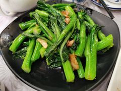生炒连州菜心-粤·向群饭店(龙津东路总店)