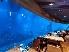 大堂-海棠湾洲际-涛·海底餐厅·美人鱼·自助餐·海底隧道