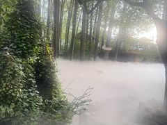 -林间山庄