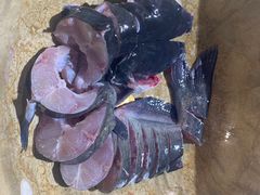 -云中鱼蒸汽石锅鱼(川沙百联店)