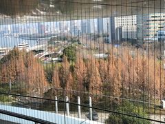 -万岛日本料理铁板烧(梅赛德斯奔驰店)