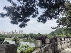 -古琴台