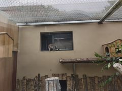 -青藏高原野生动物园