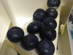 -Wagas沃歌斯(大学路店)