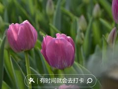 -国家植物园