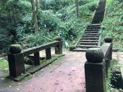 -芦沟竹海