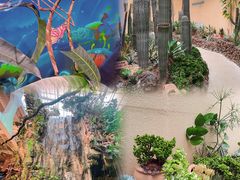-正佳雨林生态植物园