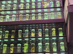 -广东中医药博物馆
