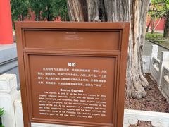 -北京市劳动人民文化宫(太庙)