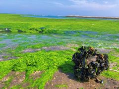 -日照灯塔风景区