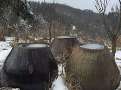 -四明山国家森林公园